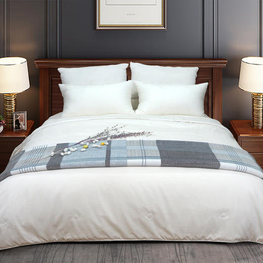 Roberto Vitaly 蚕丝子母被 200*230  51%蚕丝 49%依克丝 四季通用  柔软亲肤 亲肤透气 商品图0