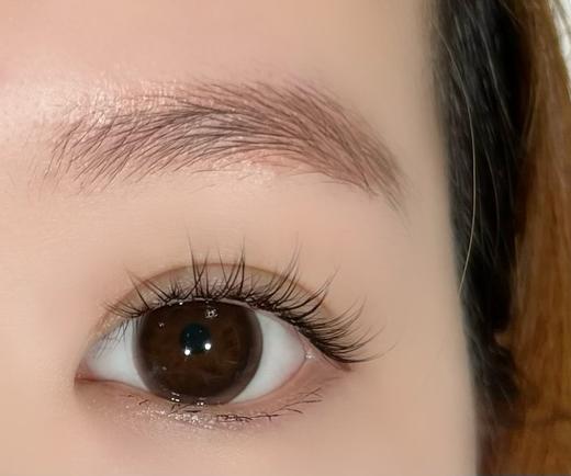 Kira Secert 泡泡姜饼 年抛 2片14.2mm 着色13.4mm 基弧8.6 含水38% 韩国进口 商品图3