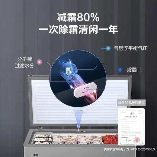 海尔（Haier）冷柜 BC/BD-306GHEPT 商品图2