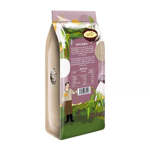 中粮初萃辽阳薏米1kg 商品图3