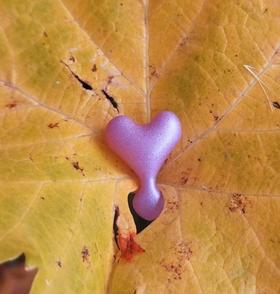  写在寒冷日子里的【抗皱真谛】及【双11活动安排】 