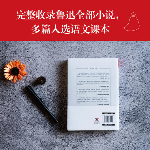 【新华书店】狂人日记鲁迅小说正版现当代文学小说畅销图书排行榜 商品图1