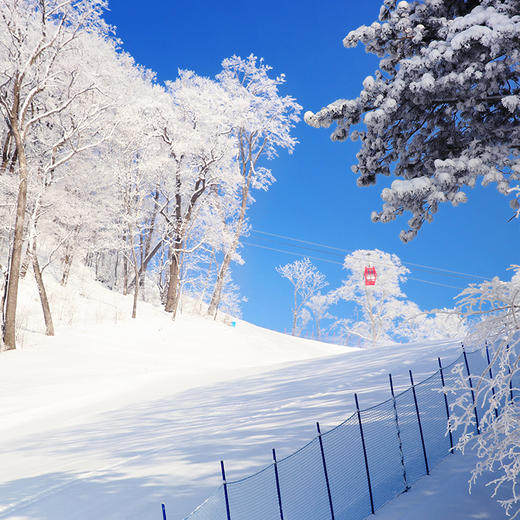 万达悦华酒店 滑雪季 商品图1