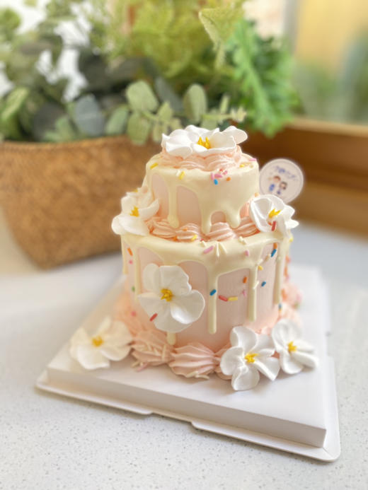 四寸小清新奶油蛋糕 下单前请仔细阅读商品详情 商品图0