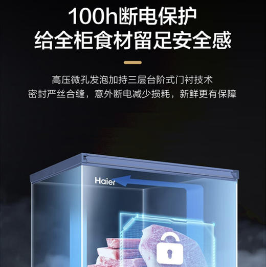 海尔（Haier）冷柜 BC/BD-306GHEPT 商品图7