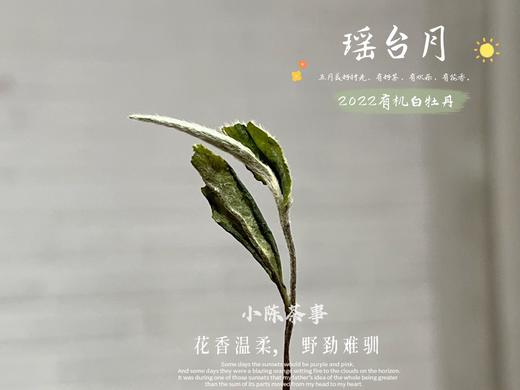 【4斤收藏装】2022有机白牡丹，开在仙山旷野的高岭之花 商品图5