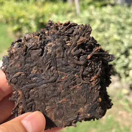 2019年真相普洱熟茶滋味醇厚回甘性价比高 商品图2