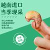 鲜记 紫衣腰果500g 每日坚果炒货 孕妇坚果 带皮大腰果仁休闲零食 商品缩略图2