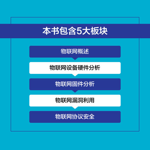 物联网*漏洞挖掘实战 物联网*隐患漏洞协议*硬件分享通信设备固件分析二进制逆向工程 商品图1