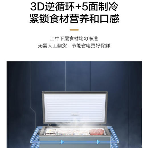 海尔（Haier）冷柜 BC/BD-306GHEPT 商品图8