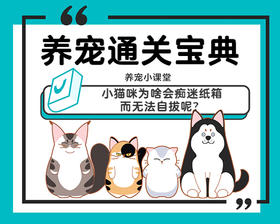 小猫咪为啥会痴迷纸箱而无法自拔呢？