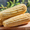 五常甜糯玉米 |  2025年新鲜上市 口感细腻 鲜嫩香糯 颗粒饱满 黑土地种植 新鲜采摘 真空独立包装 商品缩略图3
