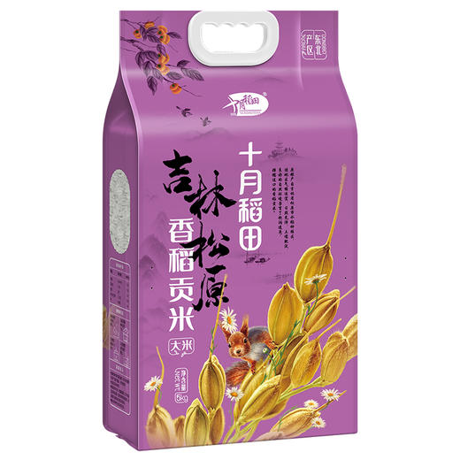 十月稻田香稻贡米5公斤 食堂自提 商品图1