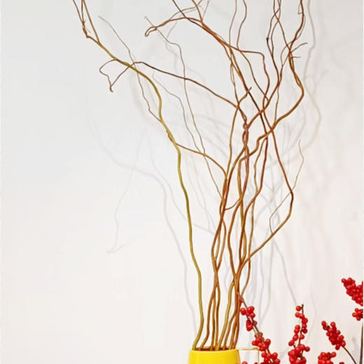 菜头商城 聊寄一枝春，云南懒人插花之〔黄金龙柳〕 A级 一束8-10枝（8-10枝包含2枝防损） 商品图4