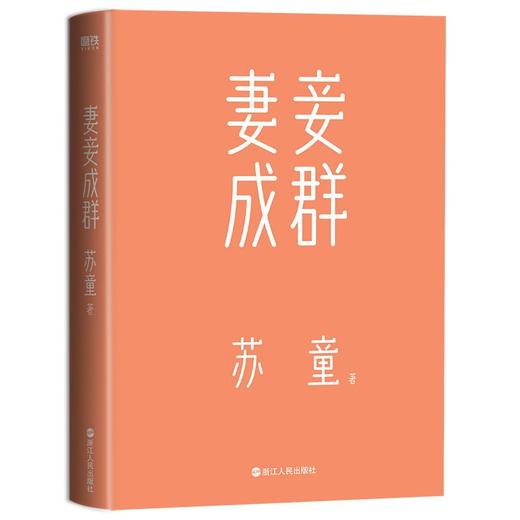 妻妾成群 茅盾文学奖得主苏童中篇小说代表作 张艺谋电影原著作品 商品图1