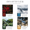 穿越森林双芯蜡烛 商品缩略图4