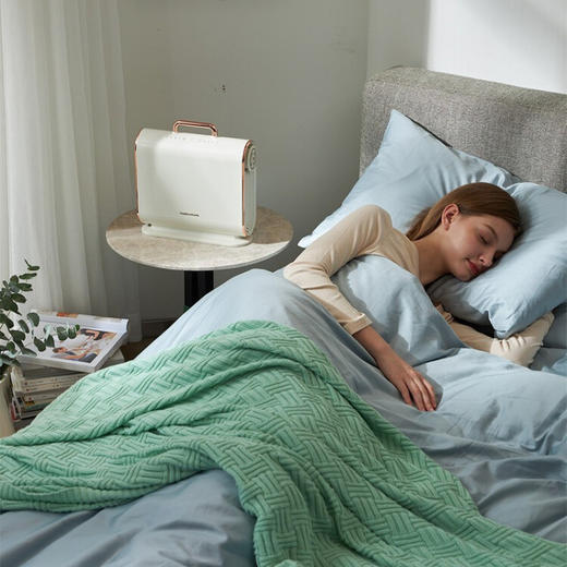 摩飞电器（Morphyrichards） 烘干机家用干衣机暖被机烘被机烘鞋器小型烘衣机 MR2070 标配版 商品图4