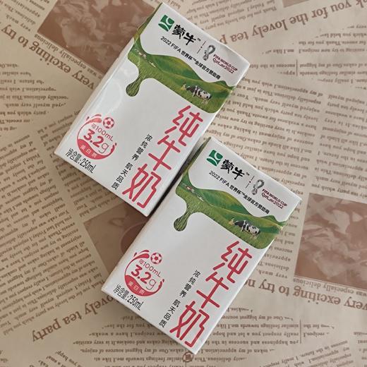 纯牛奶 商品图3
