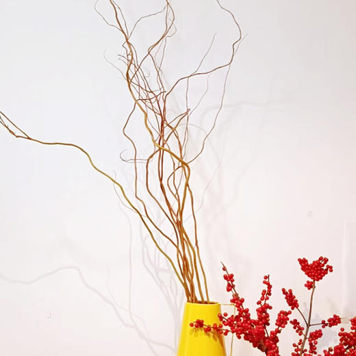 菜头商城 聊寄一枝春，云南懒人插花之〔黄金龙柳〕 A级 一束8-10枝（8-10枝包含2枝防损） 商品图3