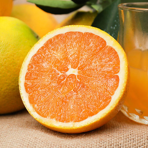 九月红果冻脐橙 商品图4