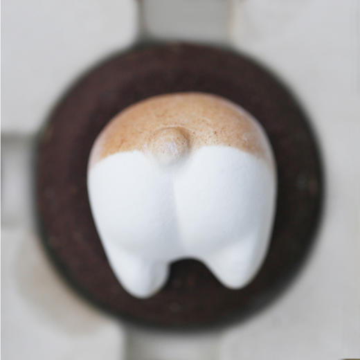 旧｜宠TA系列「汪汪」曲奇烧礼盒｜8枚人气口味+1枚隐藏口味 商品图3