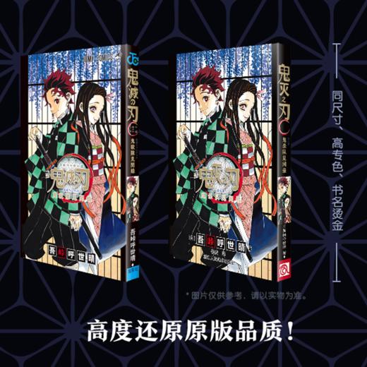 鬼灭之刃公式书 鬼杀队见闻录 商品图1