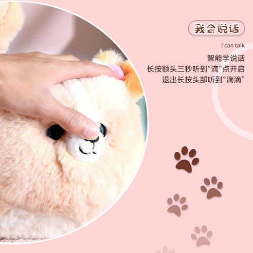 【趣巢】抱抱喵毛绒电动仿真猫咪会说话公仔趣味复读卖萌造型儿童玩具 商品图5