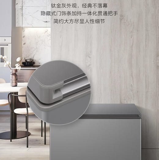 海尔（Haier）冷柜 BC/BD-306GHEPT 商品图11