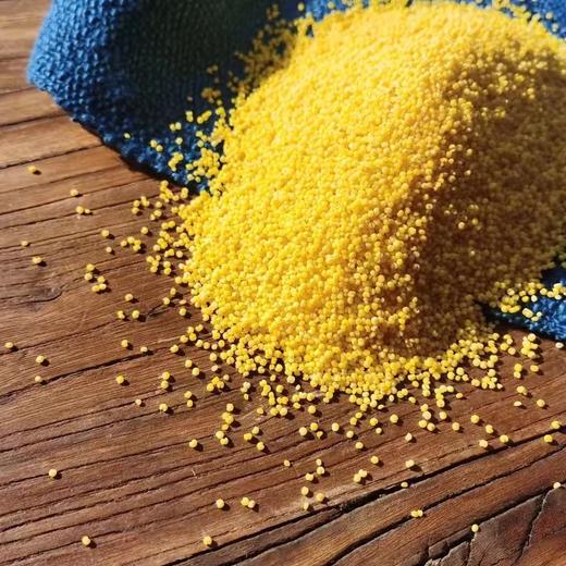 合作产品/有机种植/敖汉旗南大城小米 商品图0