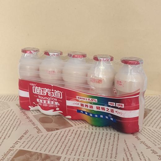 菌养道  乳酸菌  100ml*5瓶装 商品图1