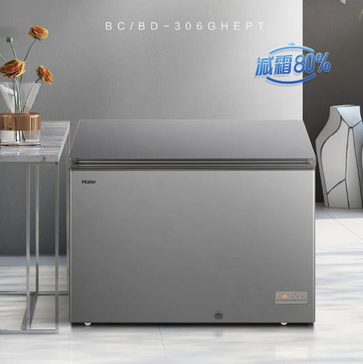 海尔（Haier）冷柜 BC/BD-306GHEPT 商品图0