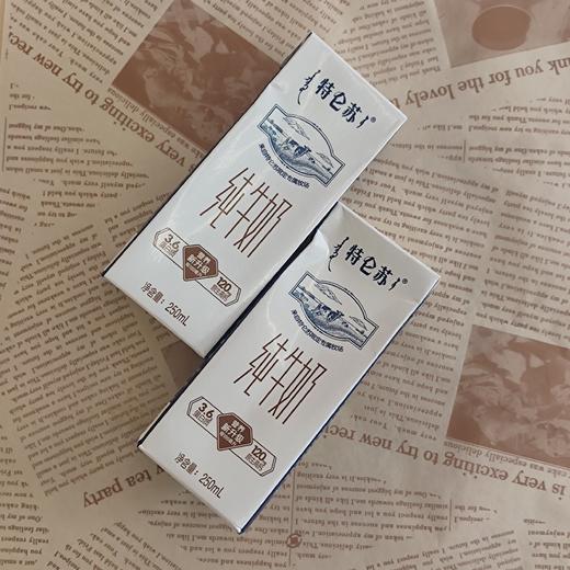 特仑苏 商品图2