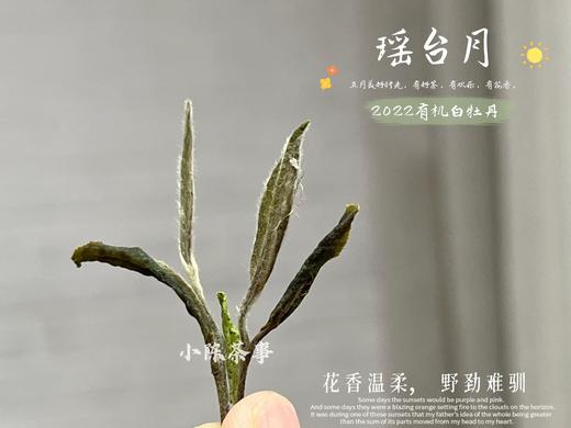 【4斤收藏装】2022有机白牡丹，开在仙山旷野的高岭之花 商品图4