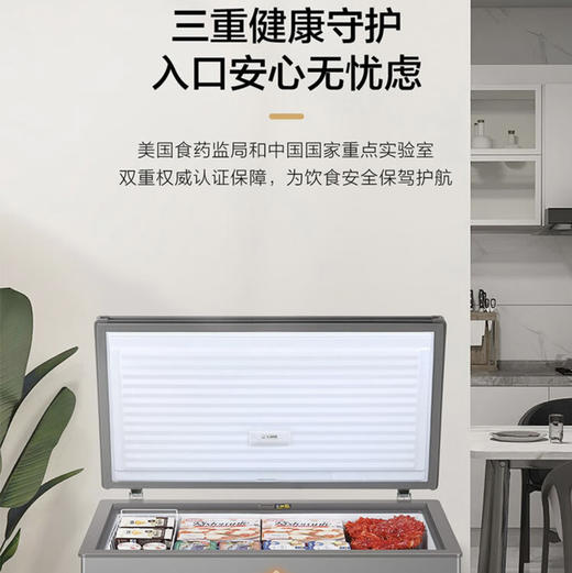 海尔（Haier）冷柜 BC/BD-306GHEPT 商品图9