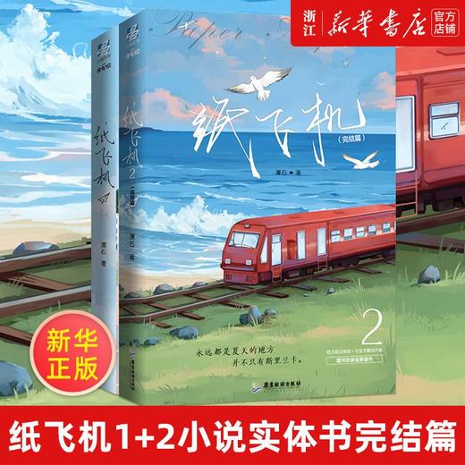 纸飞机1+2小说实体书完结篇 潭石文学都市青春校园纯爱双男主小说 商品图0