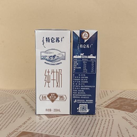 特仑苏 商品图1
