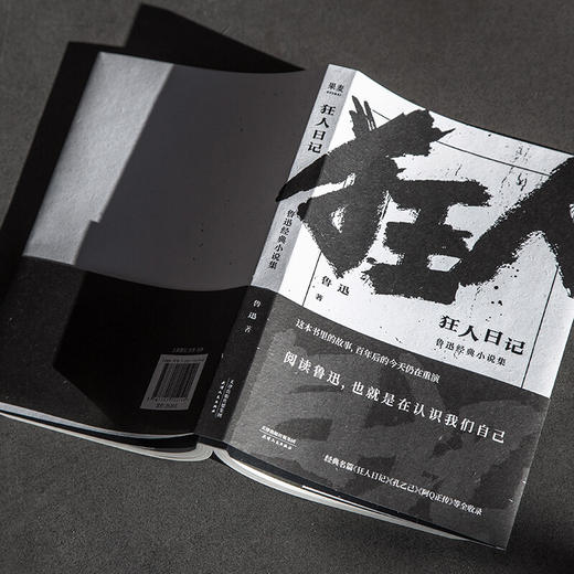 狂人日记 鲁迅 著 小说 商品图1