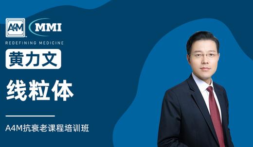 黄力文 | 线粒体 商品图0