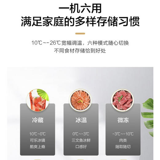 海尔（Haier）冷柜 BC/BD-306GHEPT 商品图10