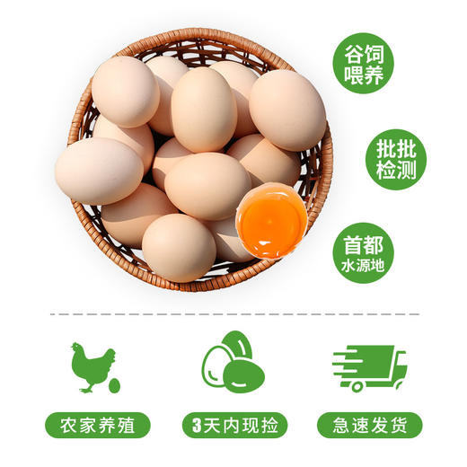 【送礼必备】密农人家土鸡蛋礼盒  农家纯粮喂养0激素  30枚/60枚 商品图9