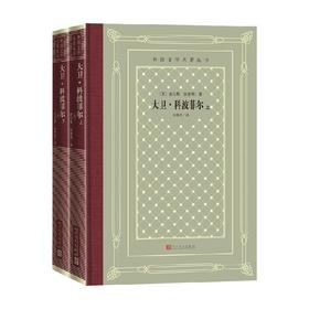 大卫科波菲尔 上 下 查尔斯·狄更斯 著 小说