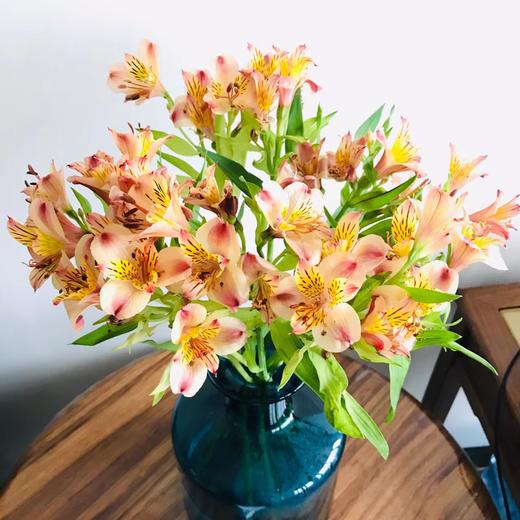 水仙百合（六出花） 商品图2