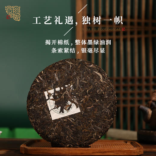【生态礼遇 珍稀质优】今大福 2022年布朗孔雀青饼 普洱生茶 357g/饼（天猫同款） 商品图1