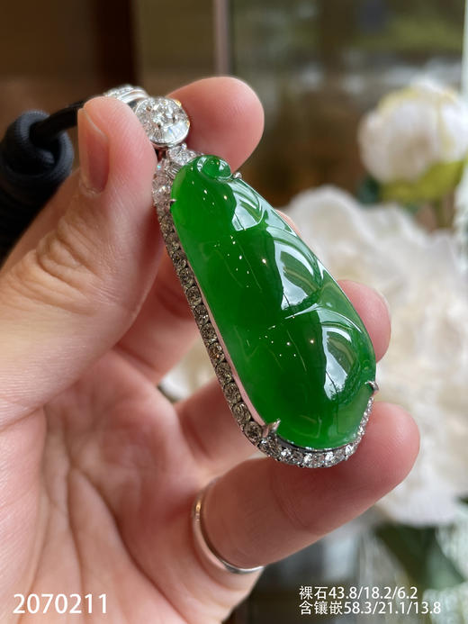 老坑冰艳绿福豆吊坠【2070211】具体价格微信咨询 商品图5