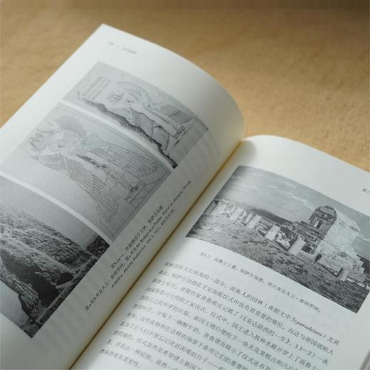 古代波斯：阿契美尼德帝国简史（公元前550—前330年） 商品图4