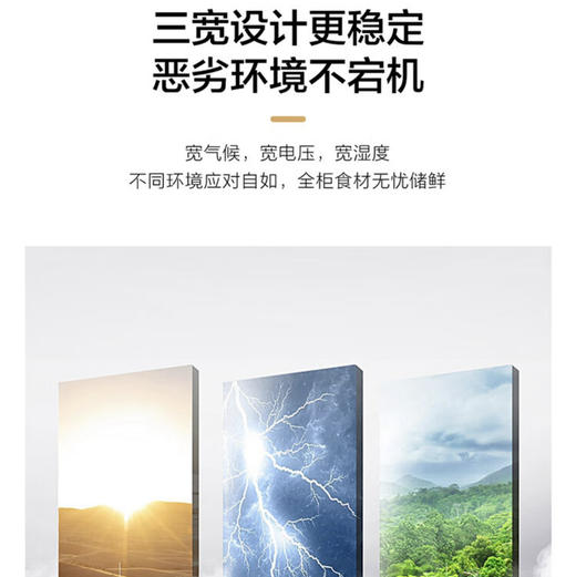 海尔（Haier）冷柜 BC/BD-306GHEPT 商品图12