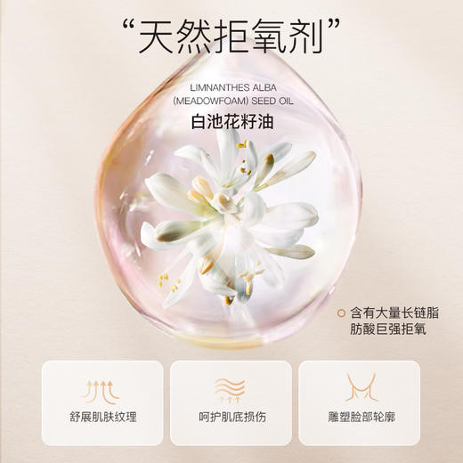 【双12大促】嘉媚乐提升紧致精油II 紧实肌肤  弹润淡化细纹   保湿复方精油 商品图2