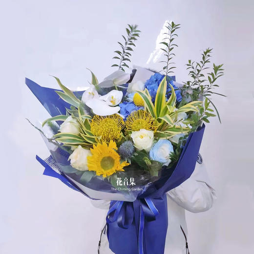 步入辉煌 商品图0