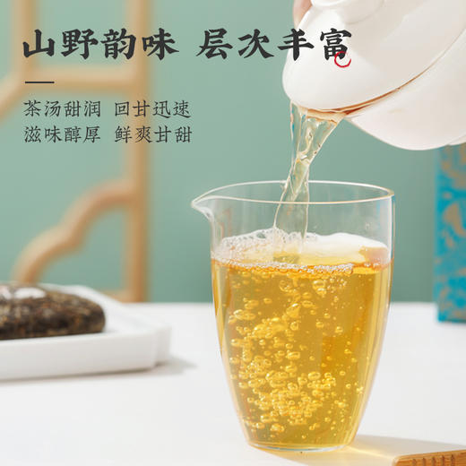 凤牌·雀语普洱生茶100g小饼系列 商品图3