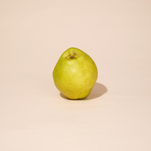 【新鲜水果】玉露香梨 商品图0